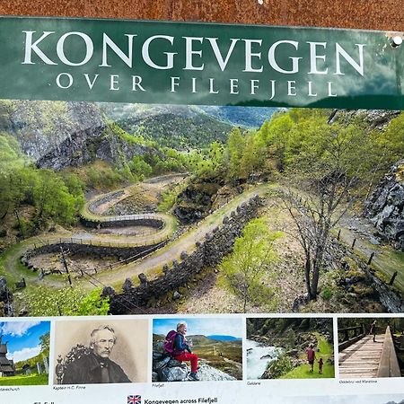 Mjosvang Kafe Vang I Valdres Bagian luar foto